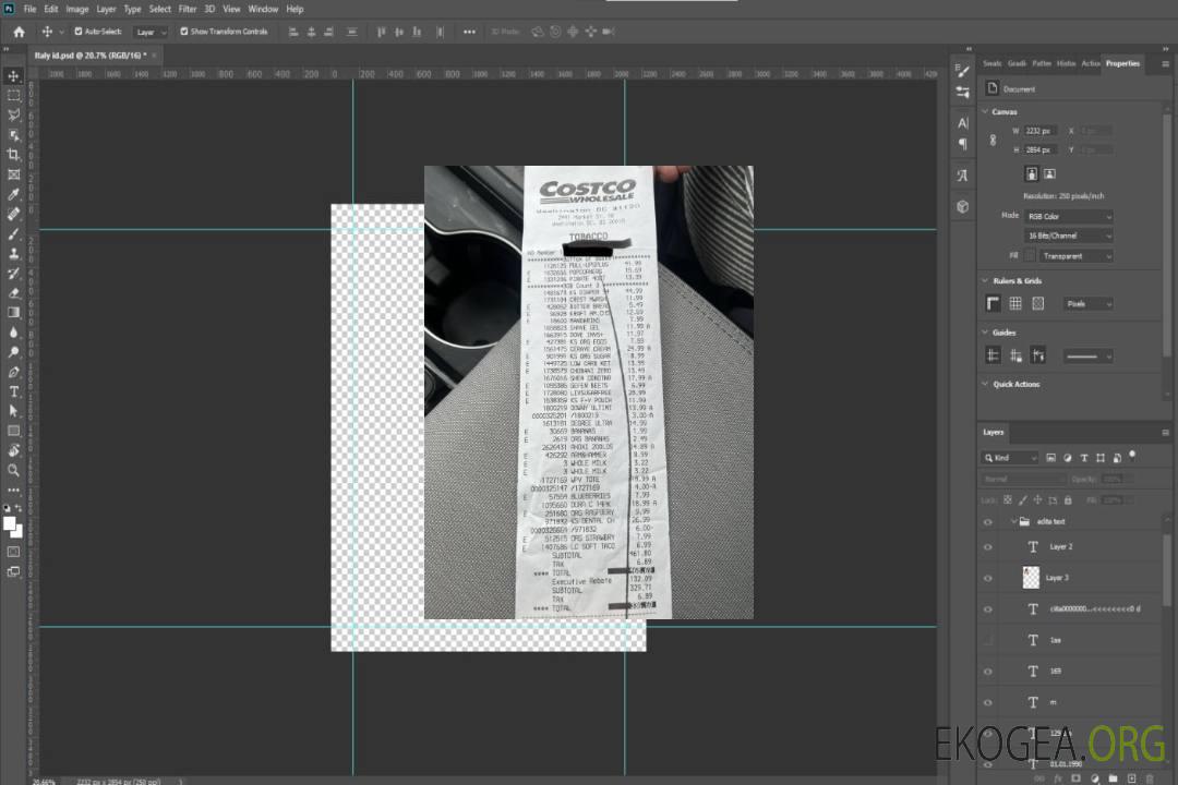 Reçu de paiement Costco Wholesale aux États-Unis template